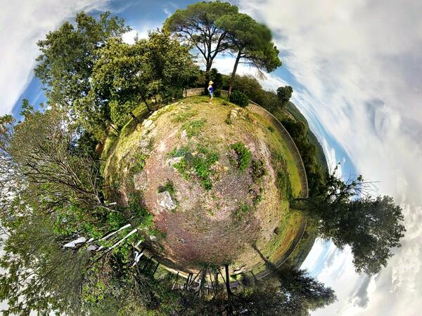 Bild vergr&ouml;&szlig;ern: Fotomontage: Ein Waldst�ck als Erdball - Symbol f�r die gro�e Welt im Kleinen.