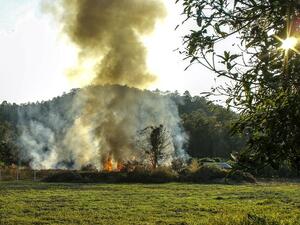 Bild vergrößern: Ein Feuer in einem Kleingarten in der Natur. Viel Rauch steigt auf.