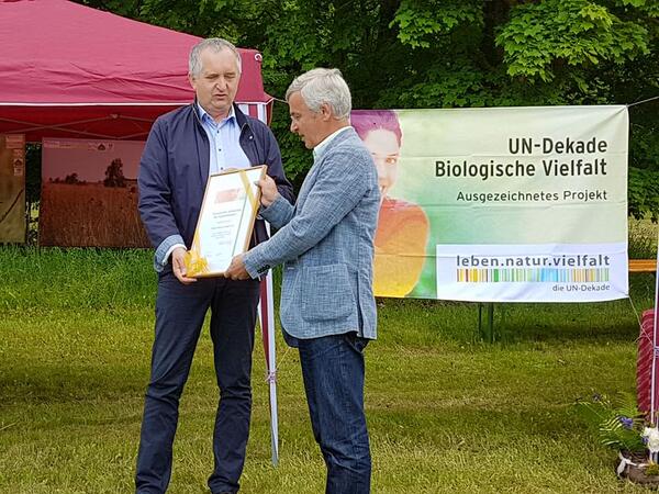 Bild vergr&ouml;&szlig;ern: Urkunde