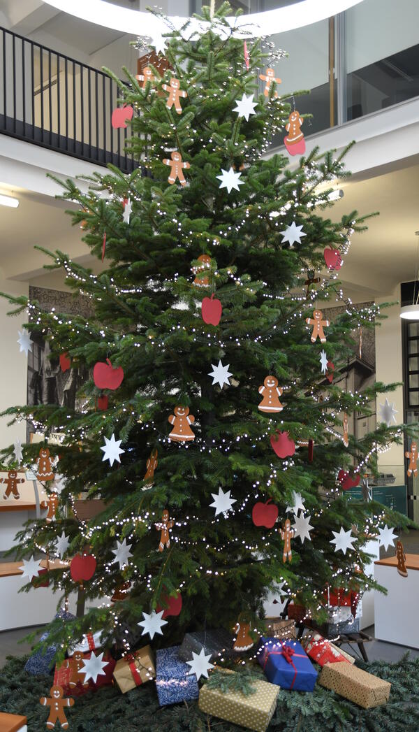 Bild vergr&ouml;&szlig;ern: Der Weihnachtsbaum in voller Vollendung.