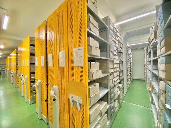 Bild vergr&ouml;&szlig;ern: Der Magazinraum des historischen Archivs auf Schloss Voigtsberg mit den typischen, gelben Regalen und den liegend gelagerten Archivbest�nden.