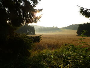 Bild vergr&ouml;&szlig;ern: Blick &uuml;bers Feld