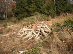 Bild vergr&ouml;&szlig;ern: Abgeladener Bauschutt im Wald