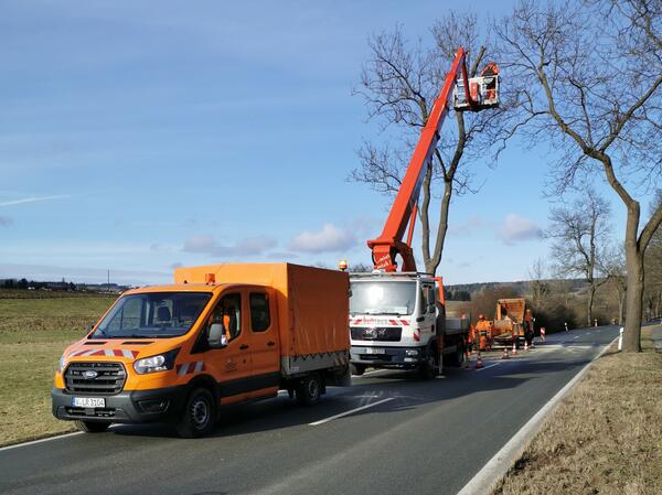 Bild vergr&ouml;&szlig;ern: Das Bild zeigt die Fahrzeuge der Stra&szlig;enmeisterei - ein orangefarbiger Transporter und eine Hebeb&uuml;hne. Damit werden die Baumkronen der B&auml;ume am Stra&szlig;enrand beschnitten.