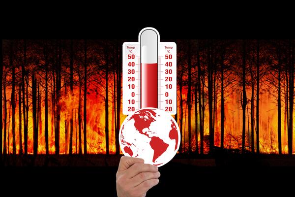 Bild vergr&ouml;&szlig;ern: DasBild zeigt ein Thermometer vor einem brennenden Wald