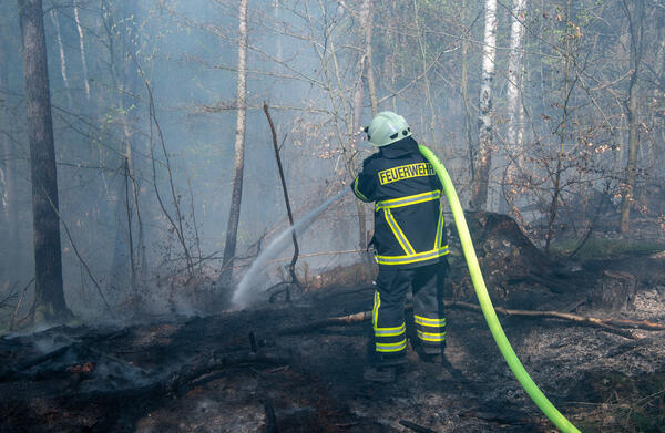 Bild vergr&ouml;&szlig;ern: Das Bild zeigt einen Feuerwehrmann, der einen Waldbrand bek�mpft. Dabei h�lt er einen Wasserschlauch �ber die Schulter und versucht das Feuer zu l�schen.