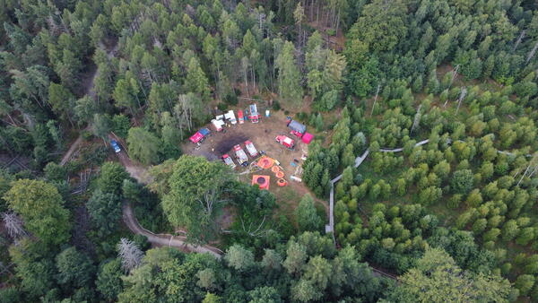 Bild vergr&ouml;&szlig;ern: Das Bild zeigt eine Einsatzgruppe verschiedener Feuerwehren inmitten eines dichten Waldgebietes.