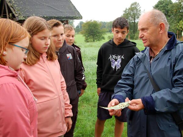 Bild vergr&ouml;&szlig;ern: Reiner Tschaschke, Mitarbeiter im NUZ, zeigte den Sch�lerinnen und Sch�lern Eier der Gallwespe.