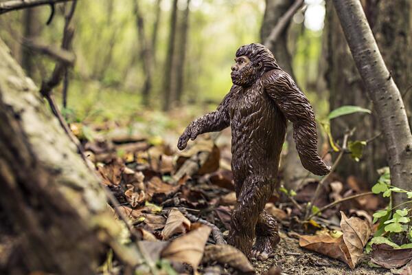 Bild vergr&ouml;&szlig;ern: Das Bild zeigt einen Neanderthaler