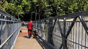 Bild vergr&ouml;&szlig;ern: Das Bild zeigt einen Fu&szlig;g&auml;nger, der mit seinem Hund &uuml;ber die neue Br&uuml;cke an der Barthm&uuml;hle spaziert. Die Br&uuml;cke hat Eisengel&auml;nder und ist ca. 2 Meter breit.