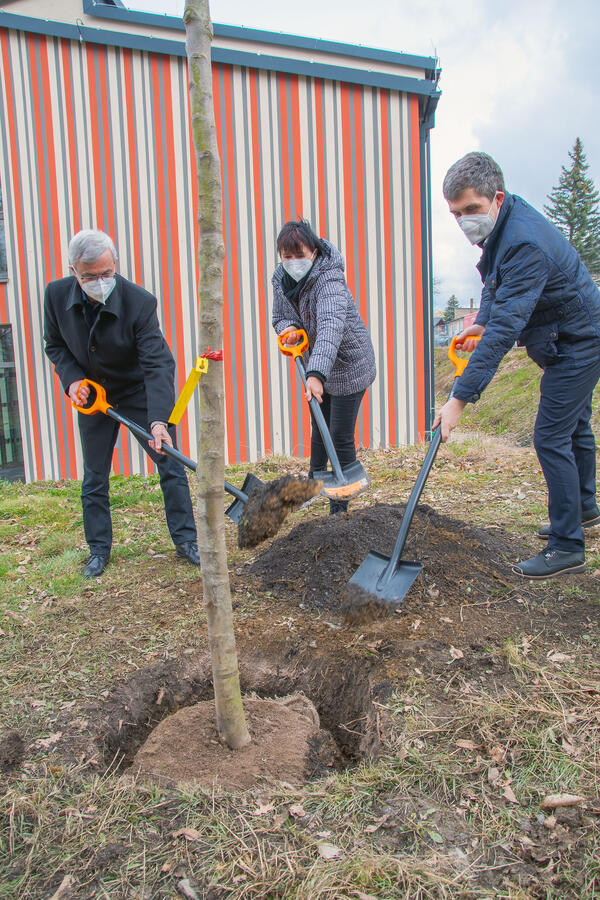 Bild vergr&ouml;&szlig;ern: Landrat Rolf Keil, Schulleiterin Silke Millermann und Stefan Kahlert, Gesch&auml;ftsstellenleiter Chemnitz des Erfurter Unternehmens PDV (von links nach rechts) pflanzten den Baum gemeinsam.