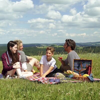 Bild vergr&ouml;&szlig;ern: Das Bild zeigt eine Familie, die auf einer gr&uuml;nen Wiese picknickt.