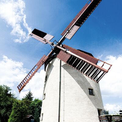 Bild vergr&ouml;&szlig;ern: Das Bild zeigt die Windm&uuml;hle in Syrau.