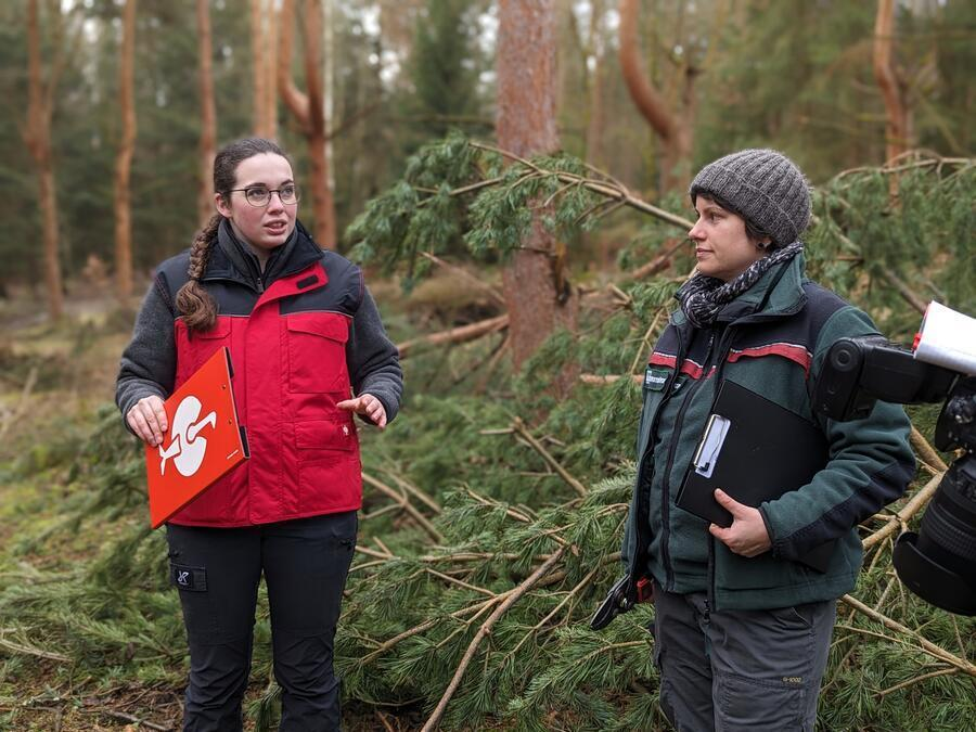 Sachsenforst und Forstbeh&ouml;rde des Landkreises arbeiten bei Ernte und Pr&uuml;fung gemeinsam.