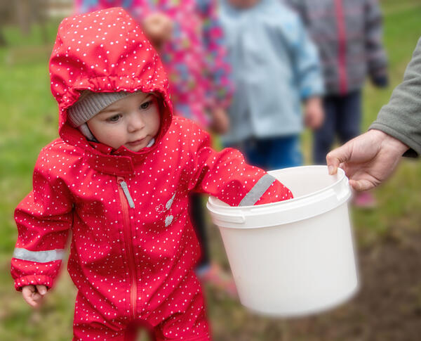 Bild vergr&ouml;&szlig;ern: Auf dem Bild sieht man ein Kindergartenkind, wie es in einen Eimer mit Wildblumensamen greift.