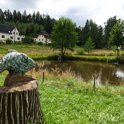 Bild vergr&ouml;&szlig;ern: Ein Teich und gr&uuml;ne Natur in Sohl
