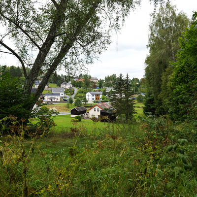 Bild vergr&ouml;&szlig;ern: Sohl - Ein Ort f&uuml;r Natur- und Wanderfreunde - zu sehen ist die gr&uuml;ne Landschaft