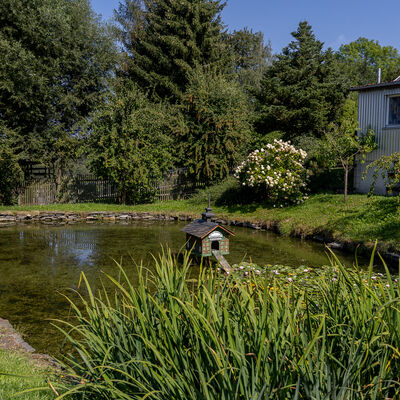 Bild vergr&ouml;&szlig;ern: Das Dorfleben findet rund um den Teich statt