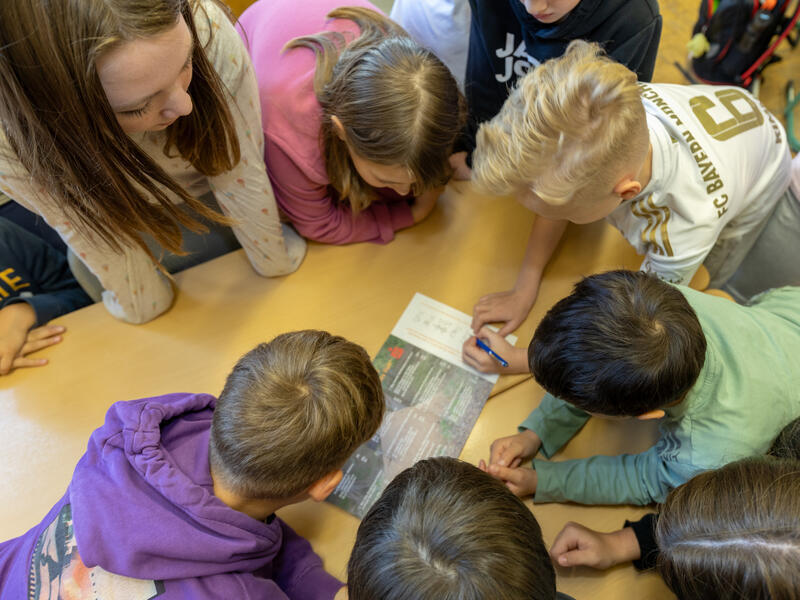Die Klasse arbeitet an einem Test &uuml;ber Ameisen. Sie sitzen alle an einem Tisch und stecken die K&ouml;pfe zusammen.
