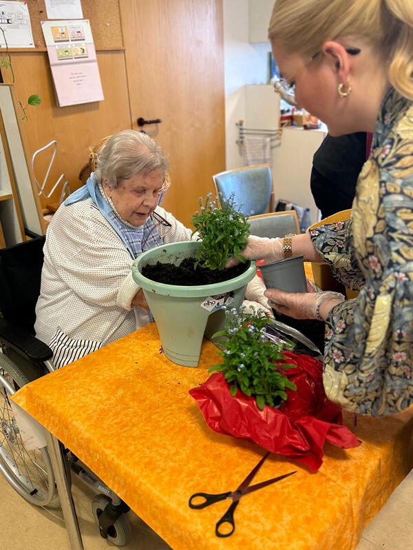 Bild vergr&ouml;&szlig;ern: Anne-Kathrin Kn&uuml;pfer, Koordinatorin des Pflegenetzwerk Vogtlandkreis, bei der Pflanzaktion im Katholischen Seniorenzentrum St. Elisabeth.