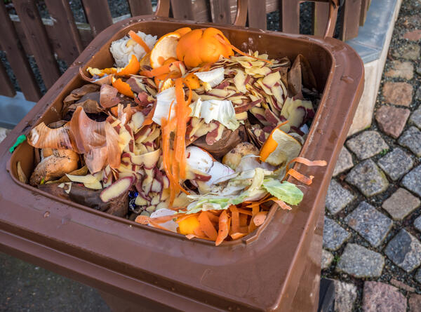 Bild vergr&ouml;&szlig;ern: Das Bild zeigt den Inhalt einer Biotonne. Dabei handelt es sich nur um organische Abf�lle.