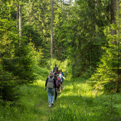 Bild vergr&ouml;&szlig;ern: Eine Gruppe von Sch&uuml;lern wandert durch den Wald zur ersten Aufgabe.