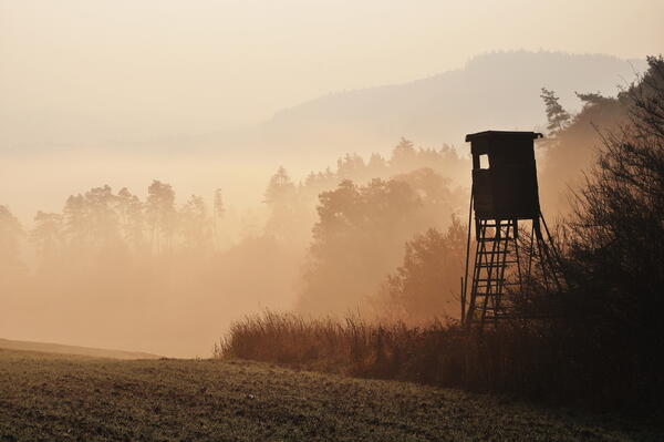 Bild vergr&ouml;&szlig;ern: Das Bild zeigt einen Hochstand, der von J�gern genutzt wird, um von dort aus Wild zu abzuschie�en. Dahinter liegen Wald und Feld leicht im Nebel.