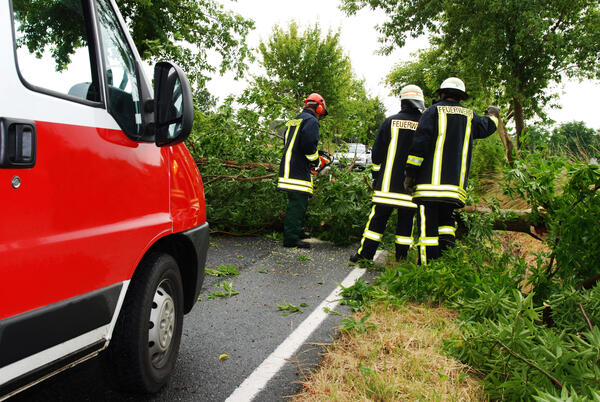 Bild vergr&ouml;&szlig;ern: Feuerwehreinsatz durch einen umgest�rzten Baum