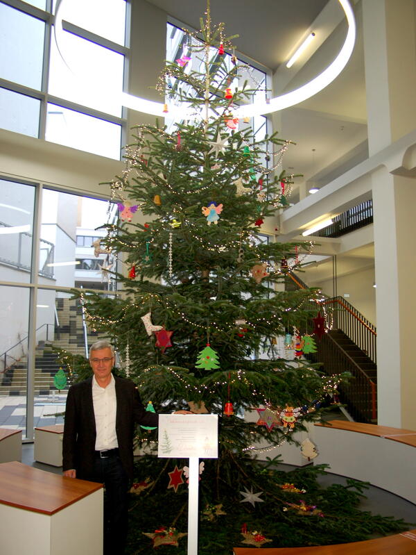 Bild vergr&ouml;&szlig;ern: Der sieben Meter lange Weihnachtsbaum ziert das Foyer des Landratsamtes.